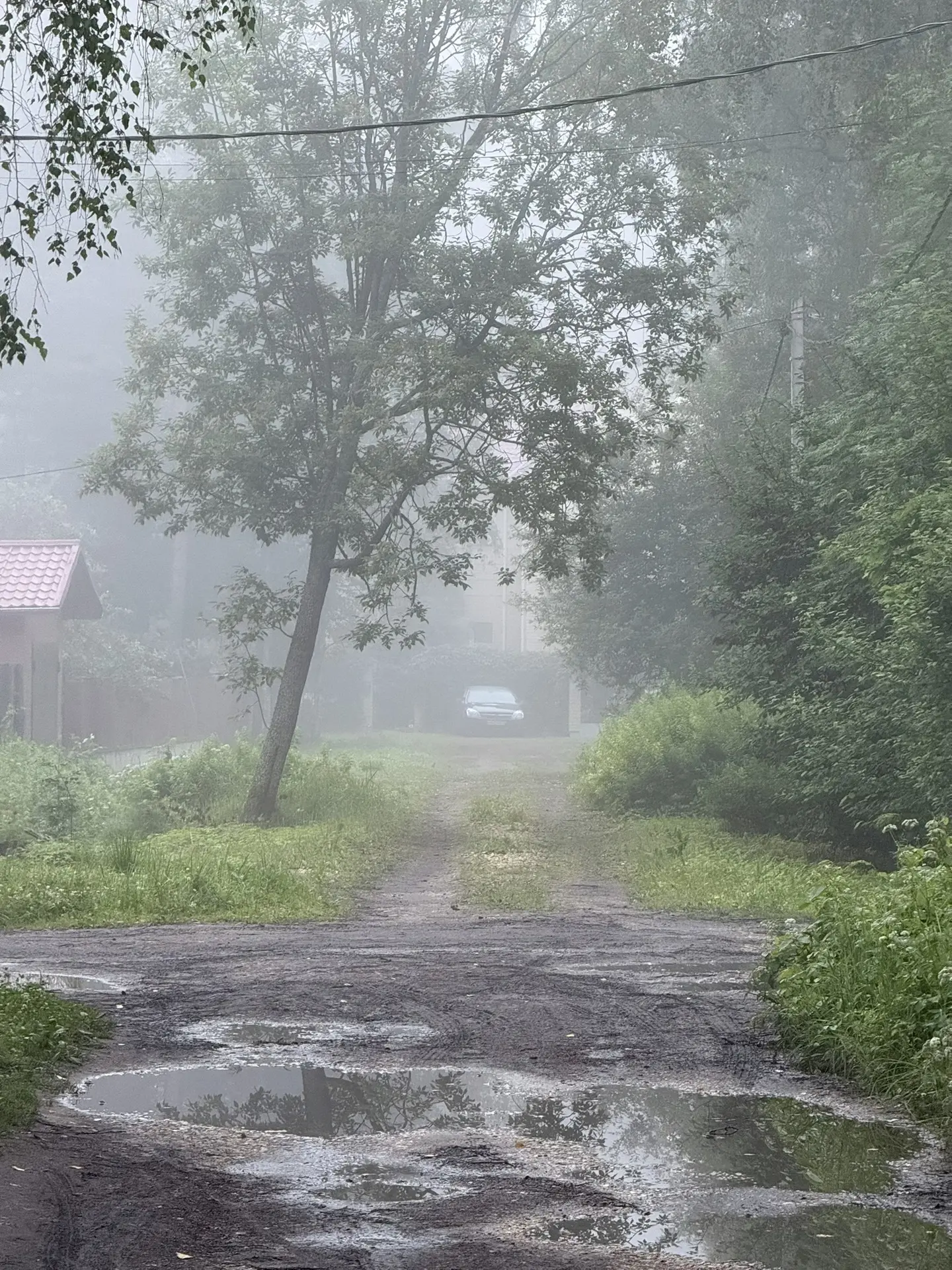 🌫️Туманный минимализм.