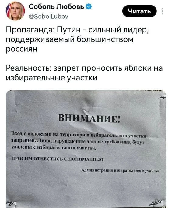 Вход разрешён только с медведем, – администрация избирательного участка😝