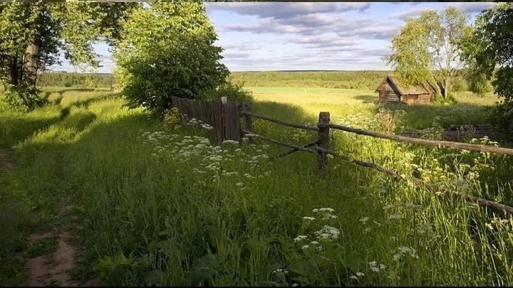 Вижу сад в голубых накрапах,