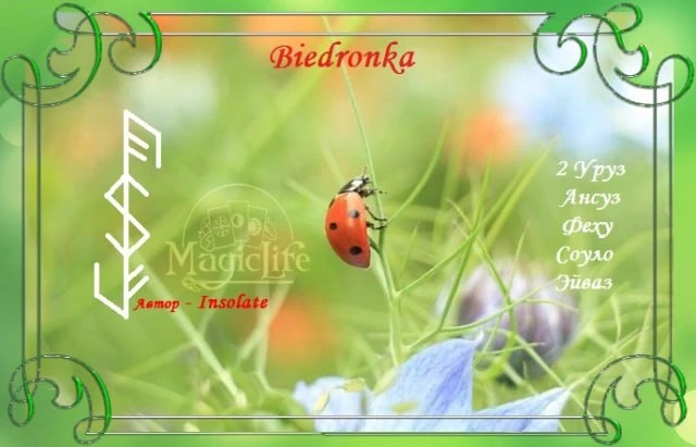 Biedronka, автор Insolate    Защита, скорее для бизнеса, в том числе нематериального (типа сайта), и