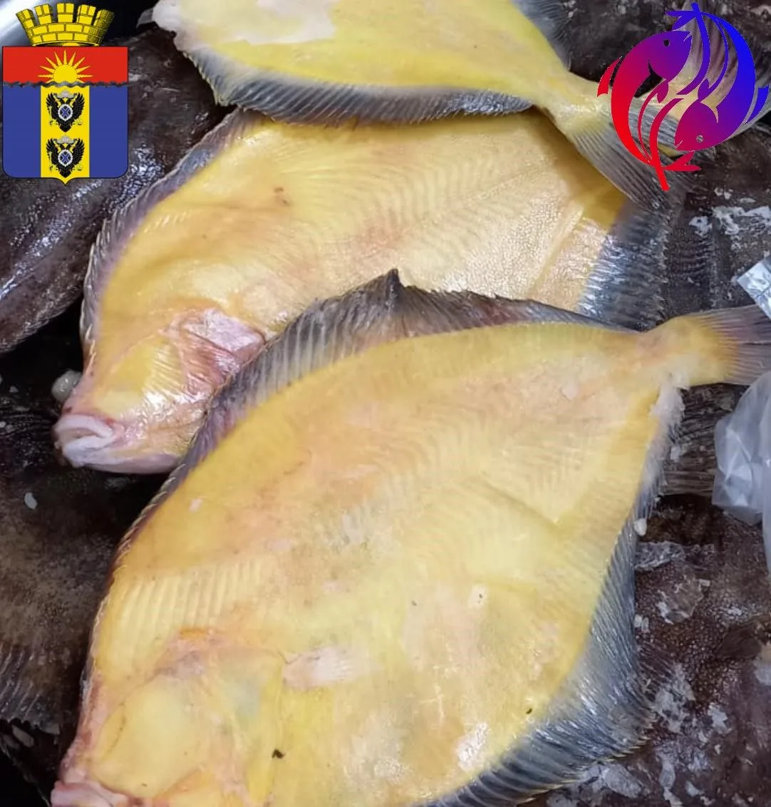 🐟 Сегодня с 11 часов в торговых объектах города будет осуществляться реализация свежей...