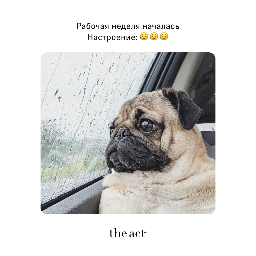 Маленькие радости

Начало недели не всегда бывает лёгким. Но у каждого из нас есть свои способы скра