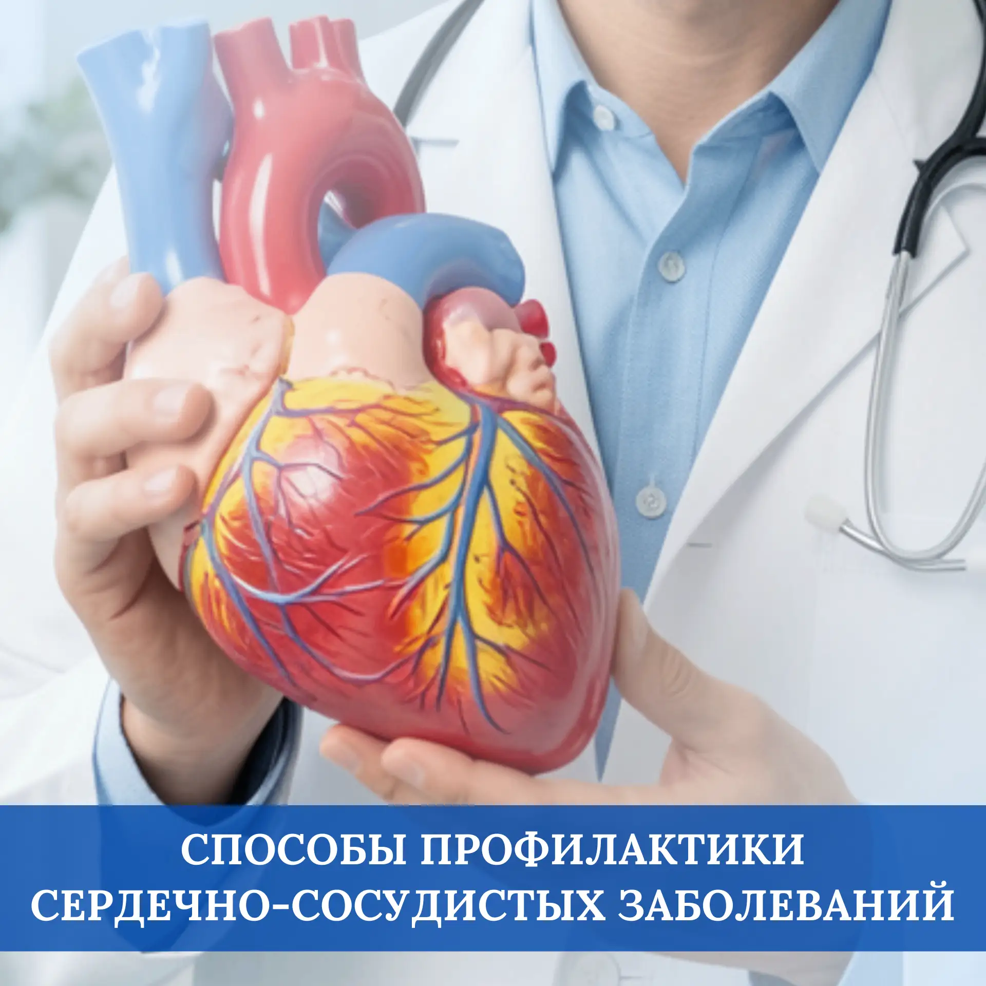 Сердечно-сосудистые заболевания - одна из главных проблем, касающихся человеческого здо...