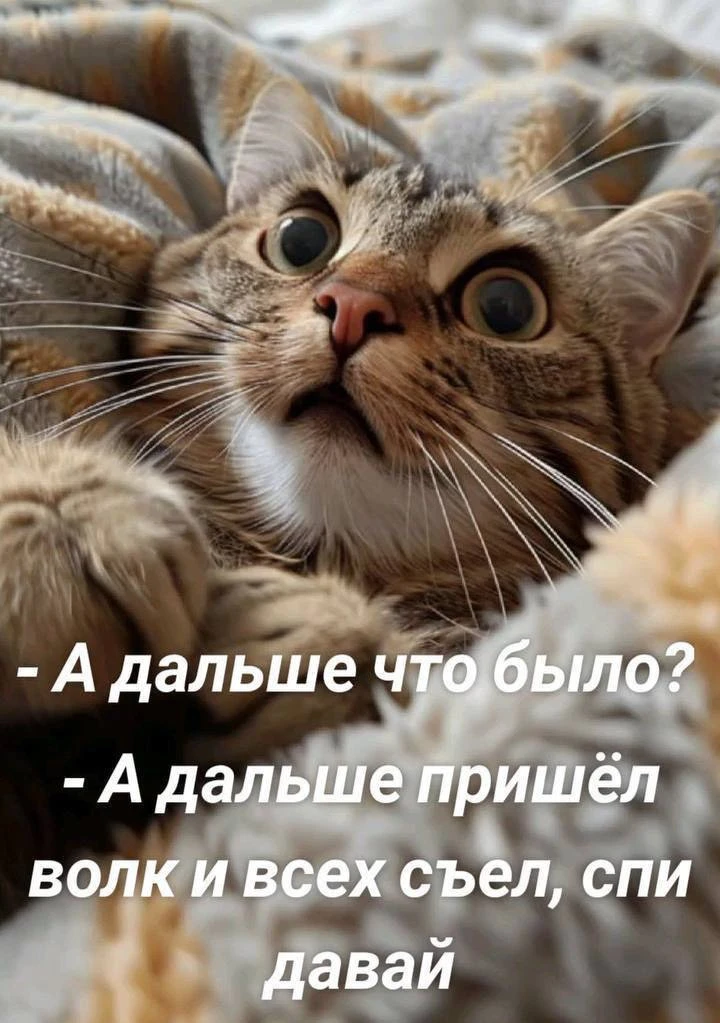 🌙 Доброго вечера и спокойной ночи