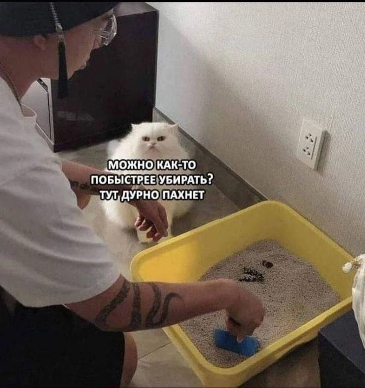 Обслуживающий персонал не справляется 😅