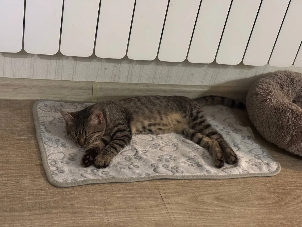 Доброе утро !😍