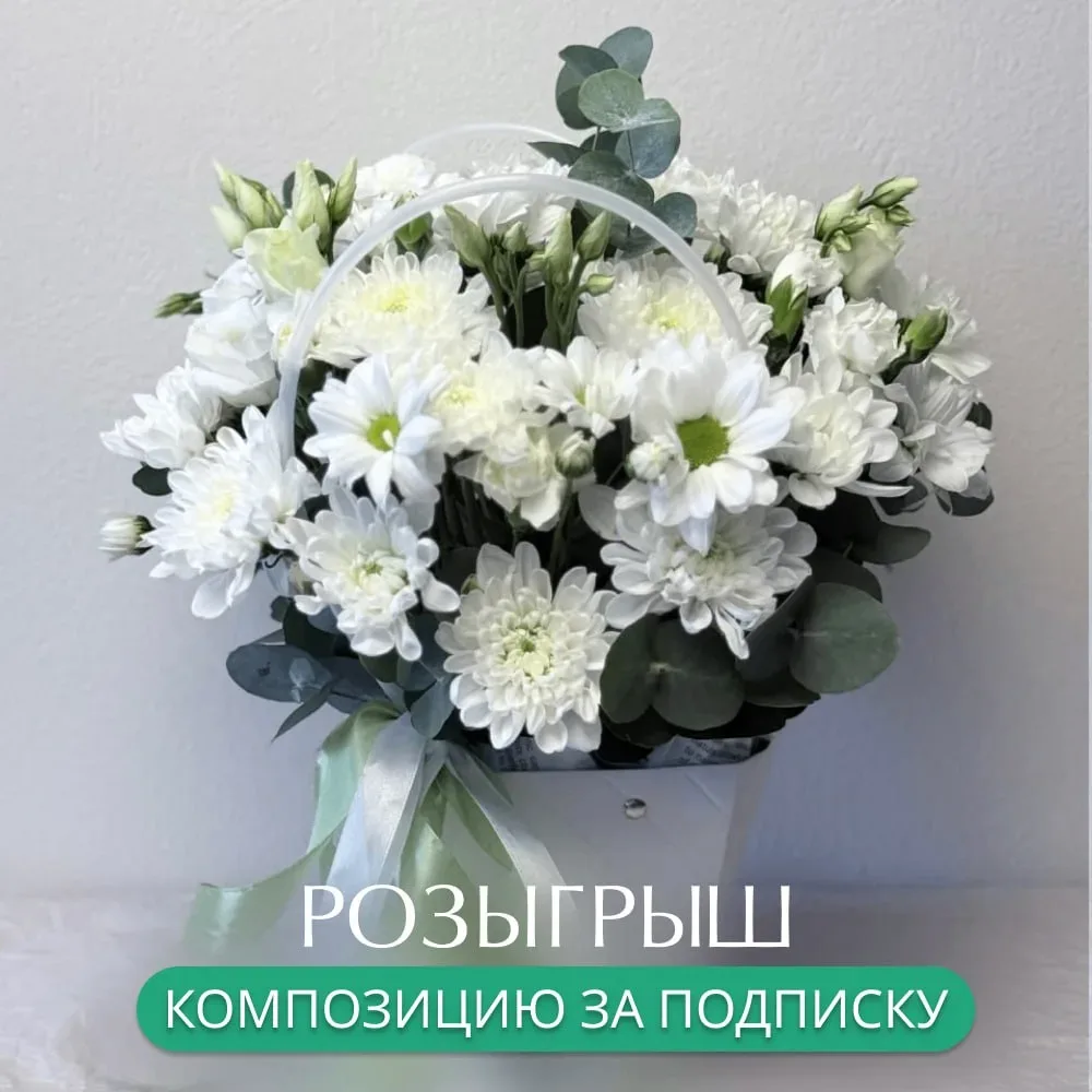 🎉 Результаты розыгрыша: