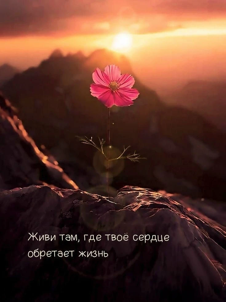 31 мая, воскресенье, Луна в Стрельце ♐ Полнолуние 🌒