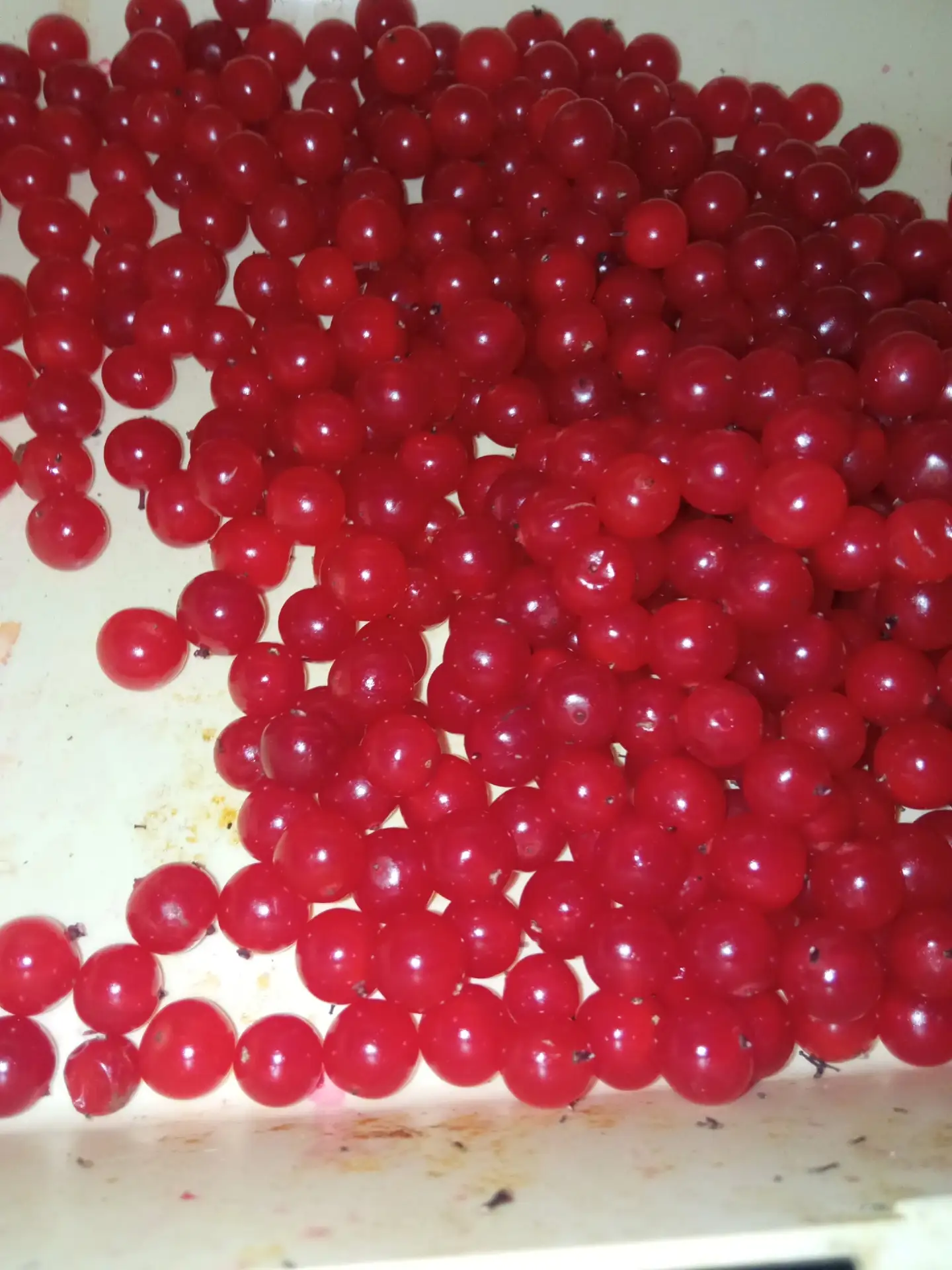 Калина замороженная свежая с собственного участка. Отдам за вкусняшку или кофе. В личку.