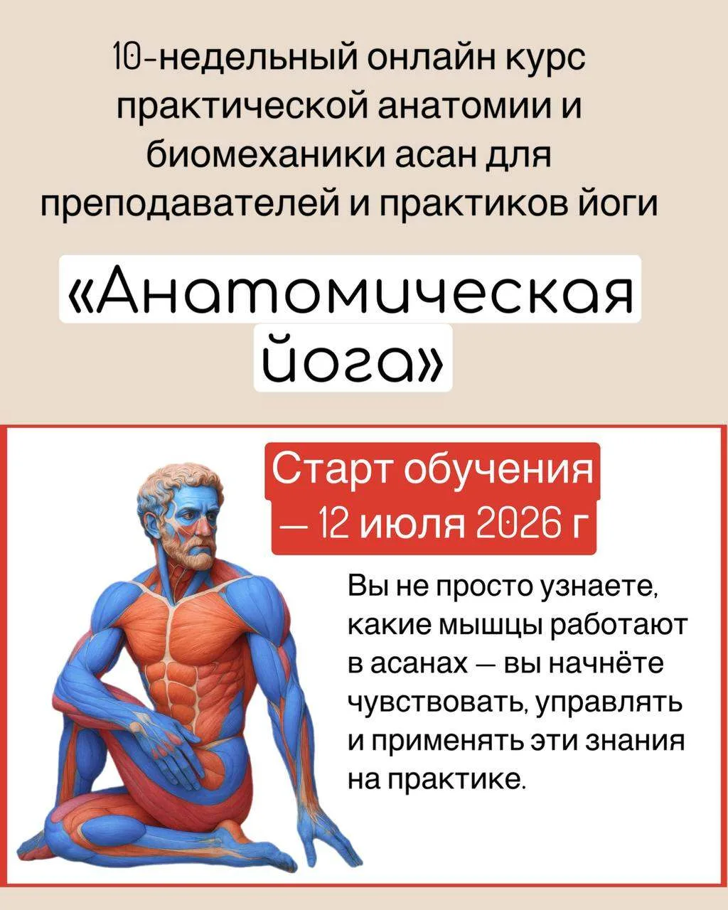 «Анатомическая йога» — это 10 недель исследования асан и своего тела через анатомию.