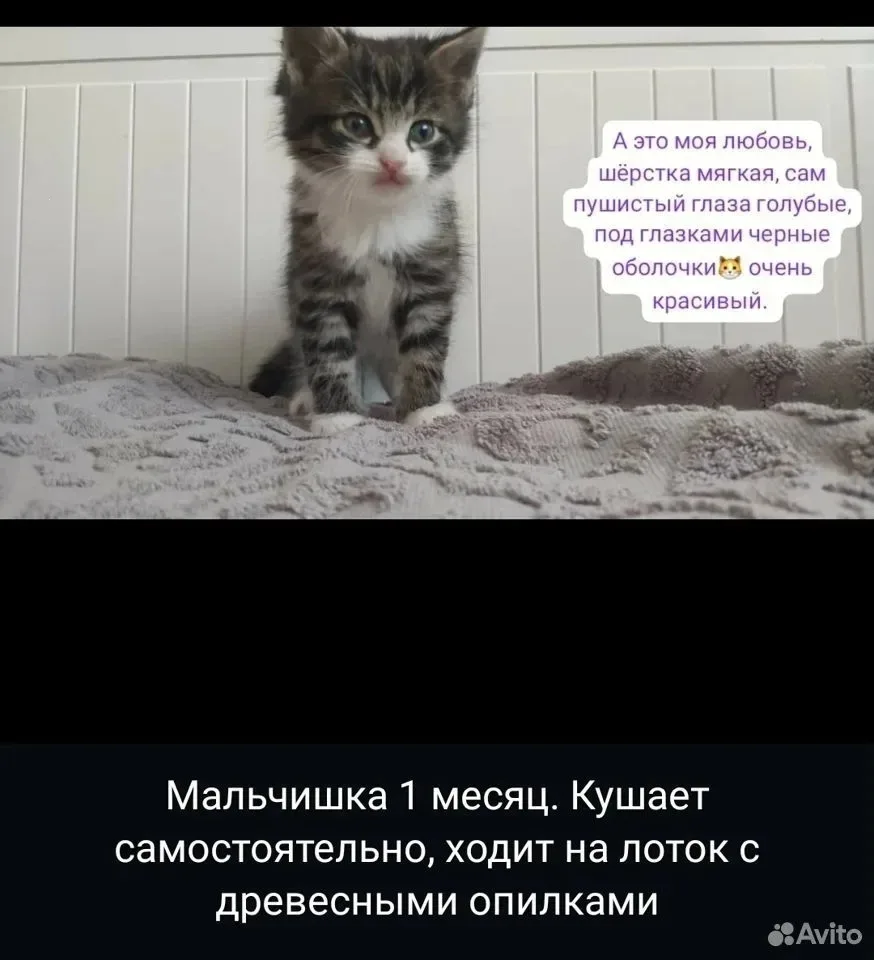 Объявления Самары и Самарской области