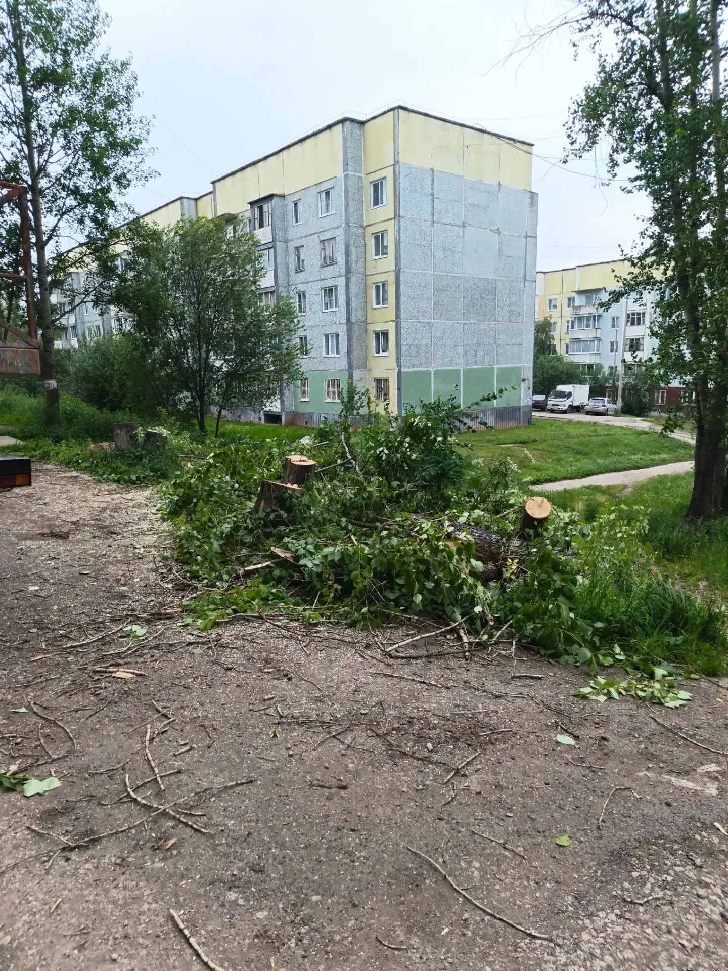 Спил опасных (сухих) тополей находящихся на придомовой территории нужное и в тоже время...
