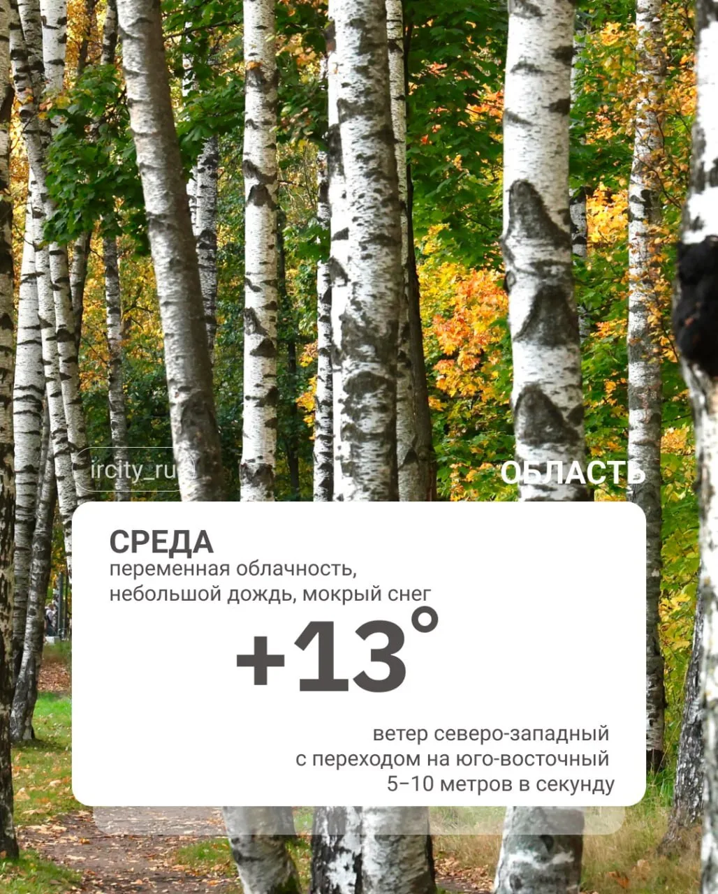 Погода на сегодня