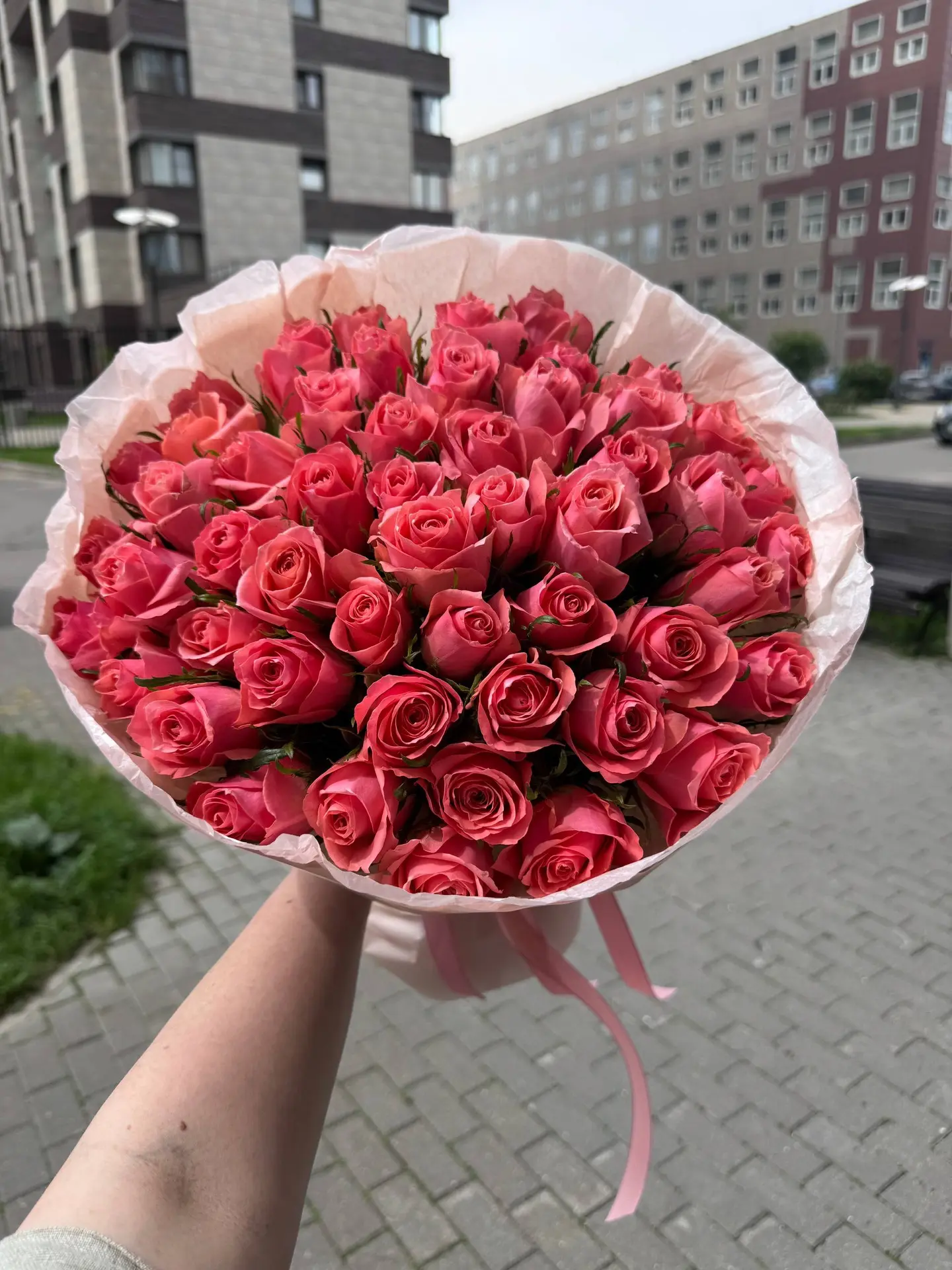 Какая классная роза к нам пришла! 😍