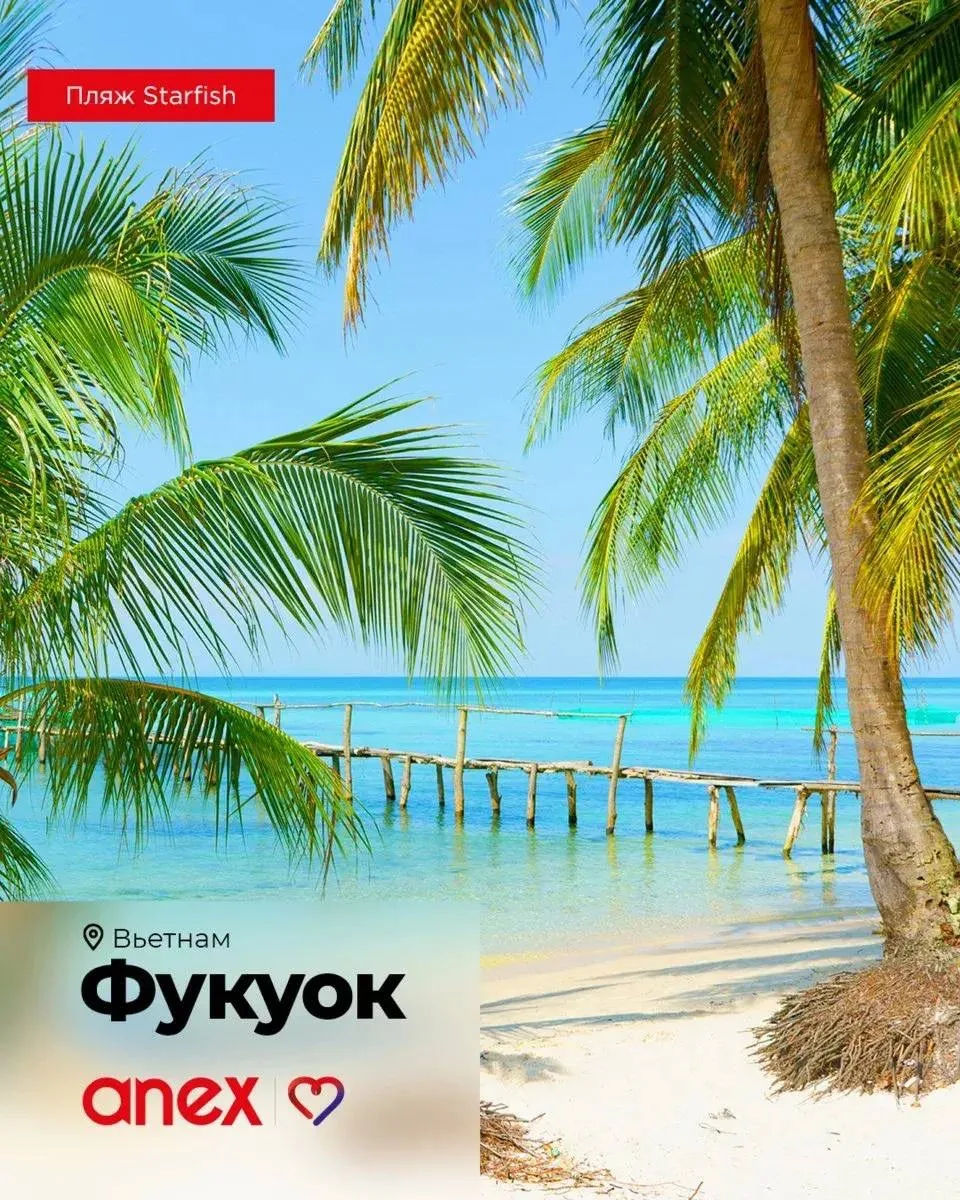 ✈️ Пока цены снижены: выбираем Фукуок на зиму🏝️ Туры от 89 590 руб/чел
 
Пляж с морскими звёздами —