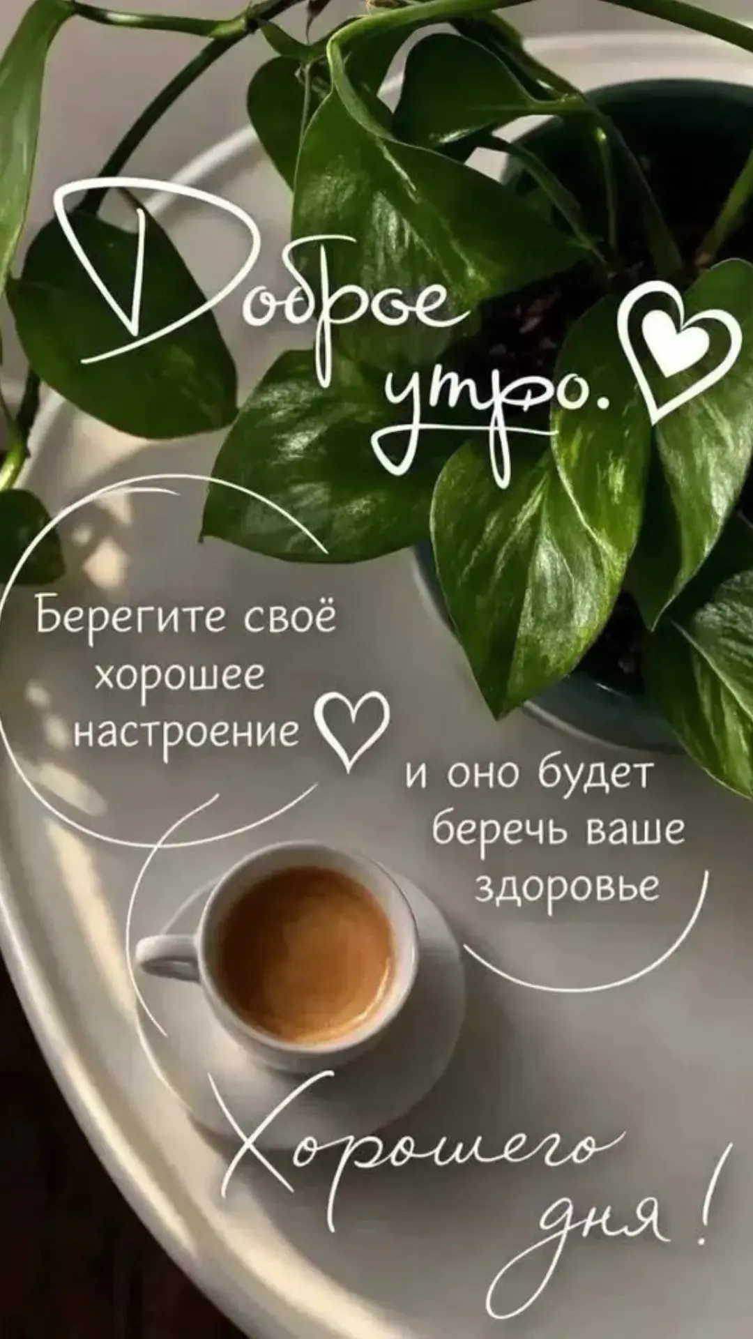Доброго утра ,уважаемые гости нашей студии☀️