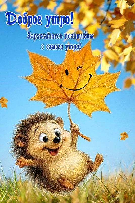 #доброеутро