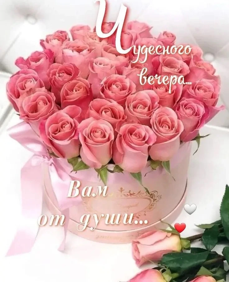 🥰 Ставьте реакции и делитесь открыткой с близкими ❤️