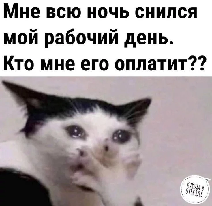 #минуткаюмора