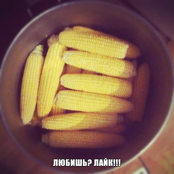 Любишь кукурузу, с тебя лайк ❤️