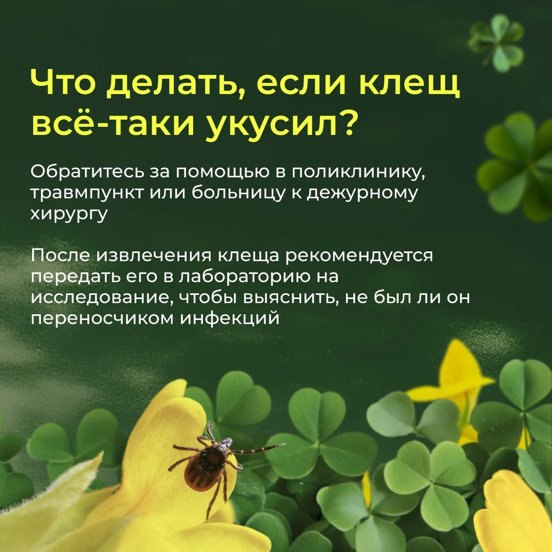 ☀️ Совсем скоро начнутся летние каникулы — время прогулок, поездок, отдыха у бабушки и на природе.  