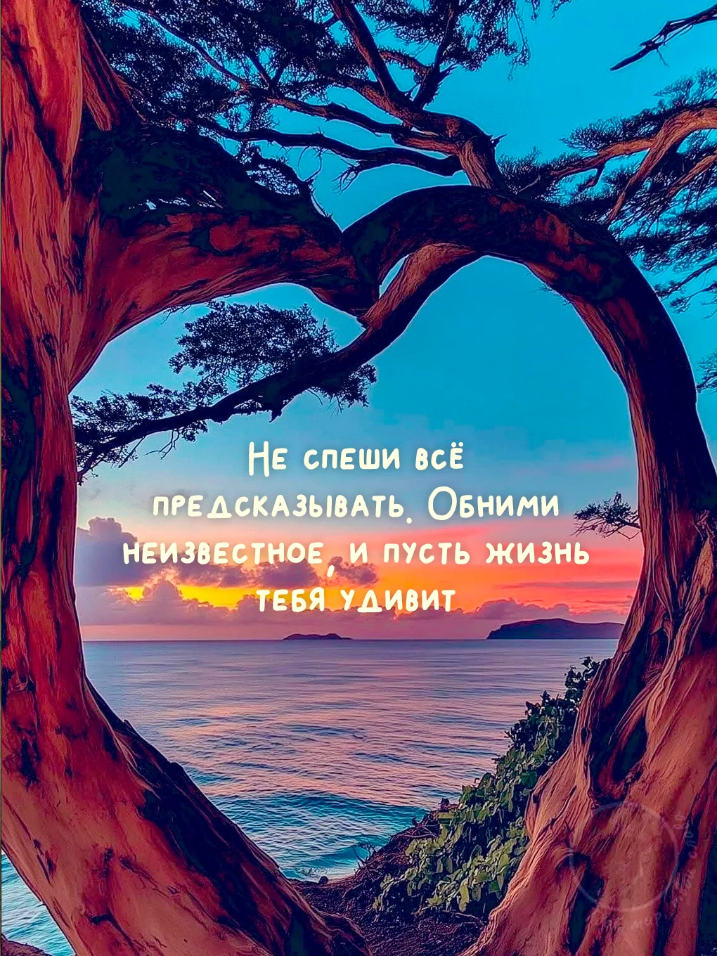 Твой мир, твои слова