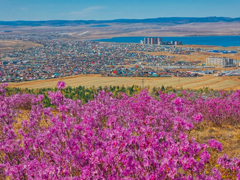 Сегодня оставим птичек в покое. Пусть поплавают(спойлер). Почему-то за много лет фотоза...