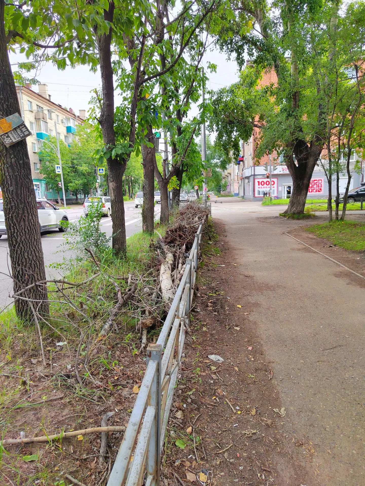 Перекресток улиц Вокзальная / Чапаева, судя по всему уже давно лежит... Гадить все гора...