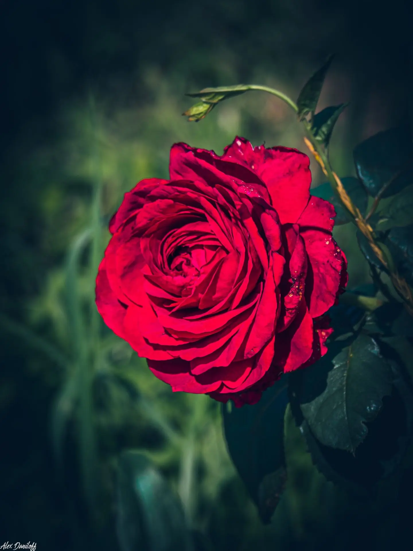 🌺 50 оттенков лета…