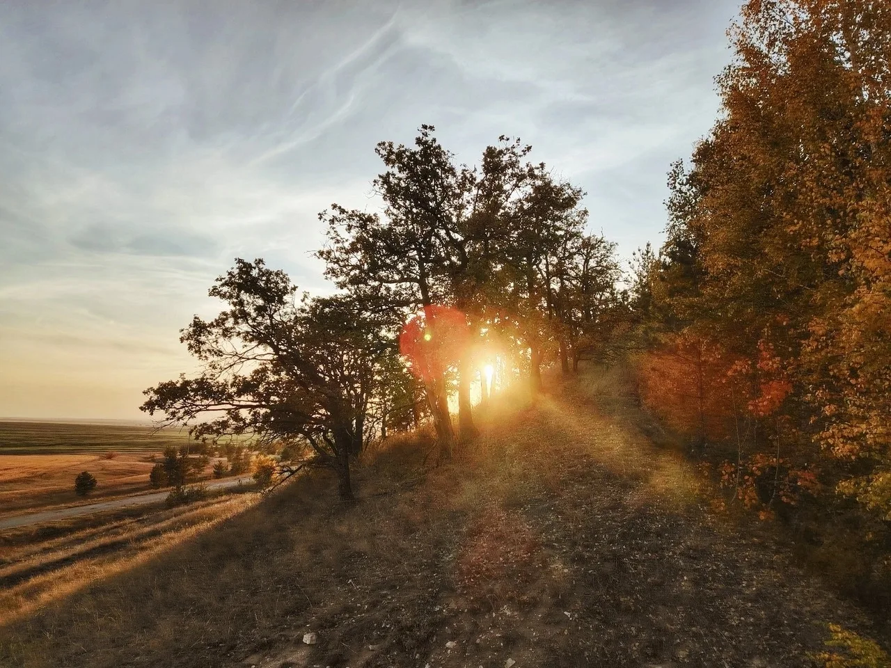 Краски осени 🍁