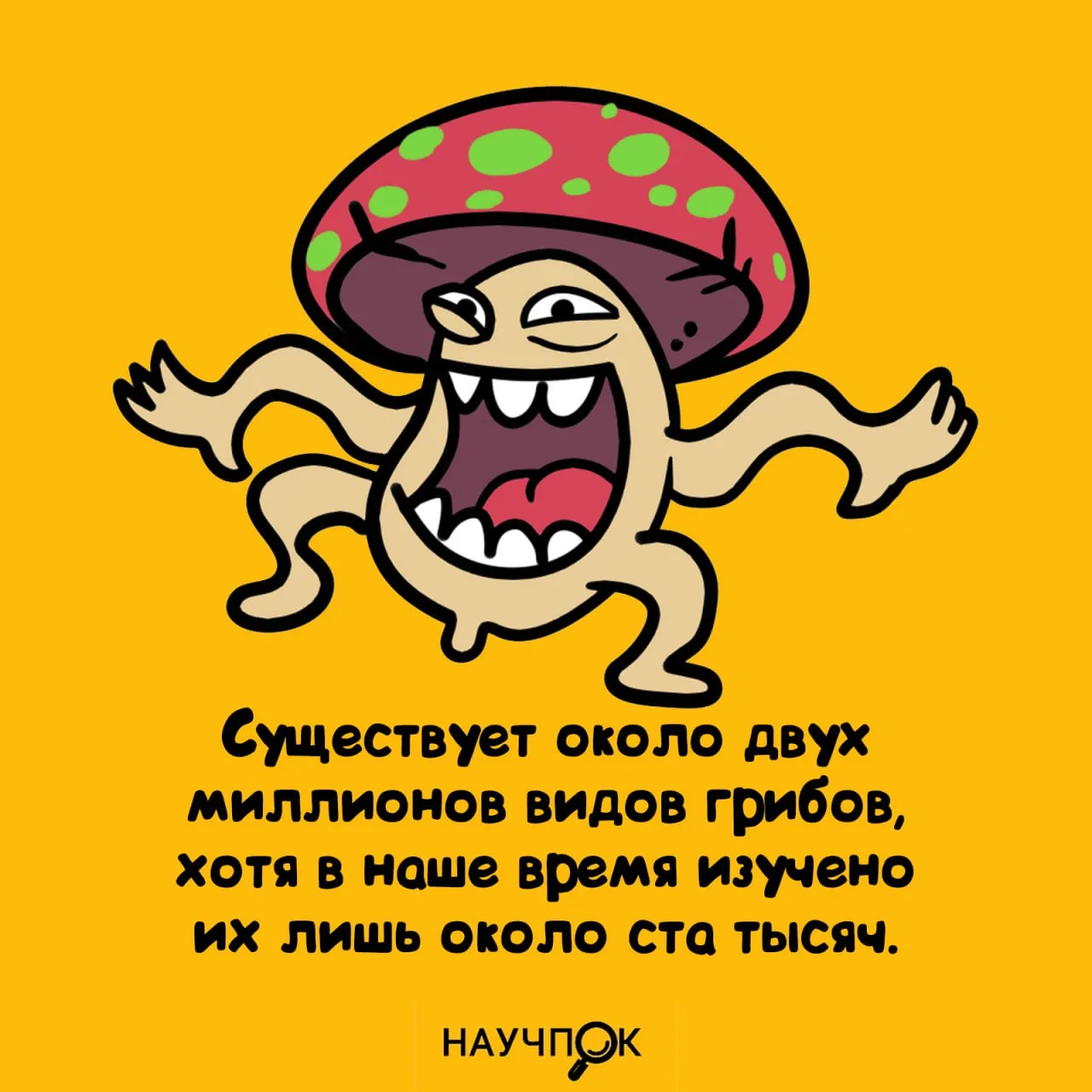 Научпок | Подписаться