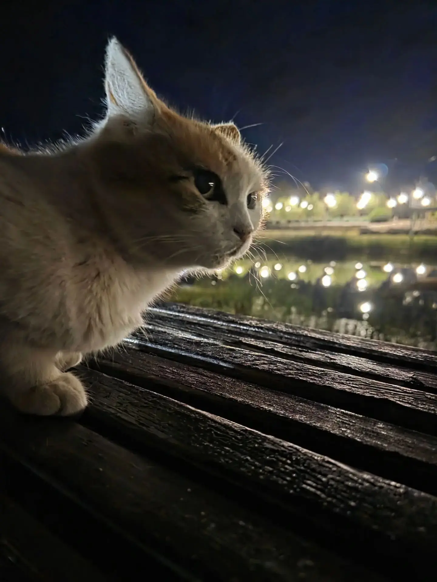 😍 Пятница. Завершим ее красиво - свежей подборкой фотографий со сквера у озера Ладного...