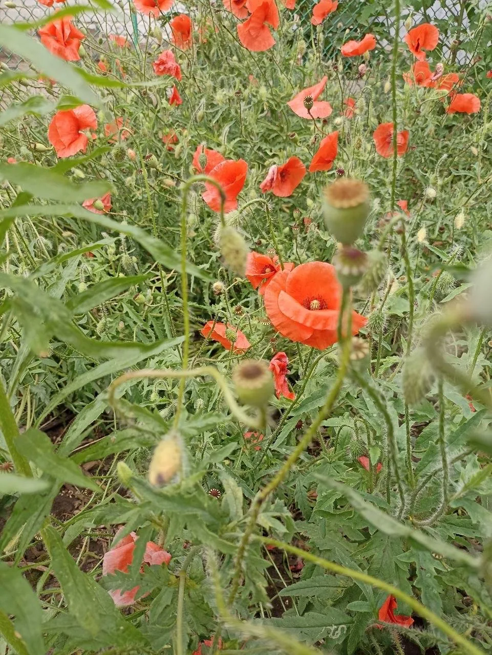 🌸 Доброе утро!