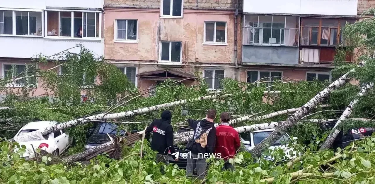 В одном из дворов Кушвы целый ряд припаркованных машин оказался под поваленными деревьями

📸 Е1