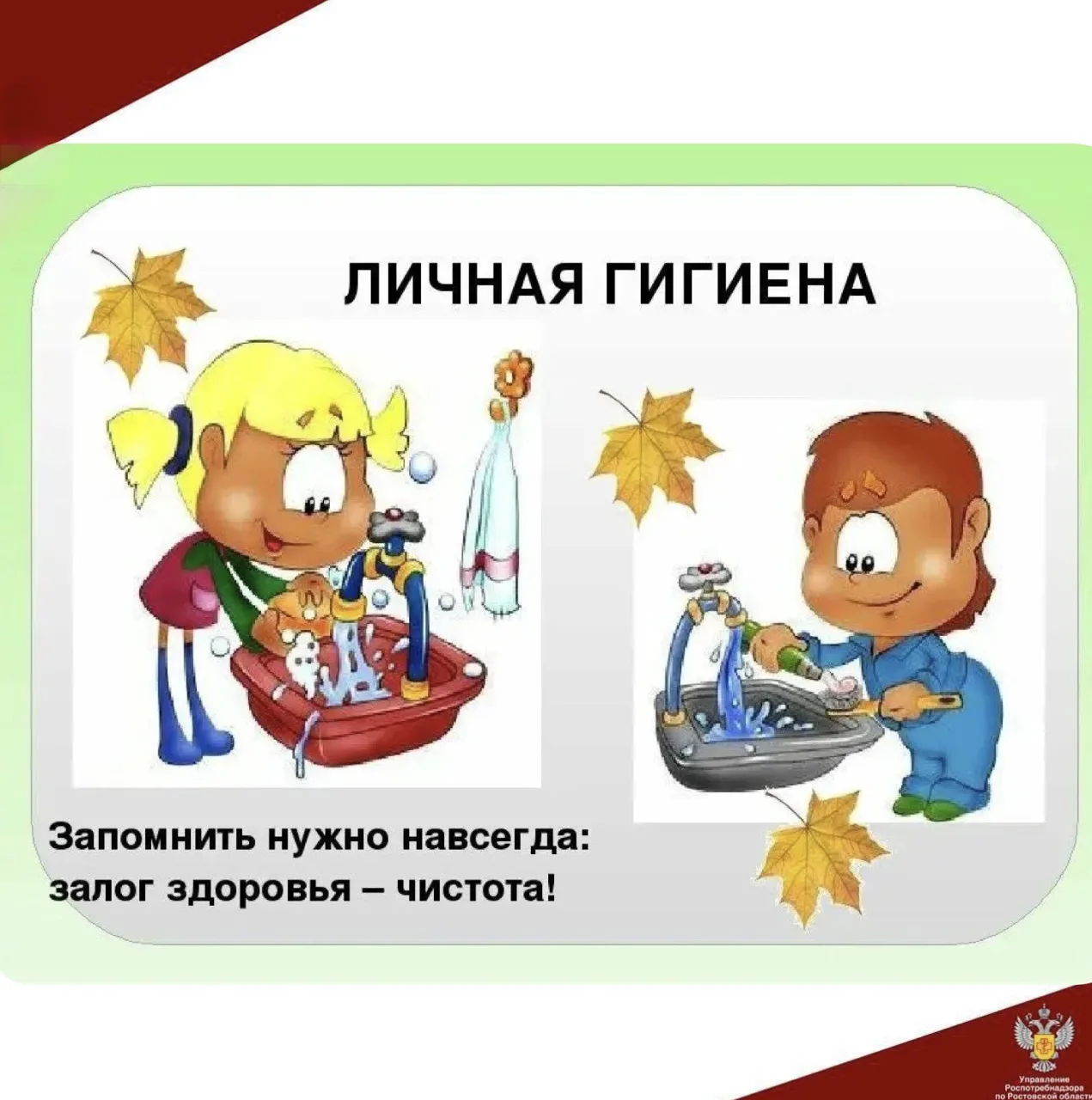 ТОП-5 главных правил гигиены и профилактики для детей