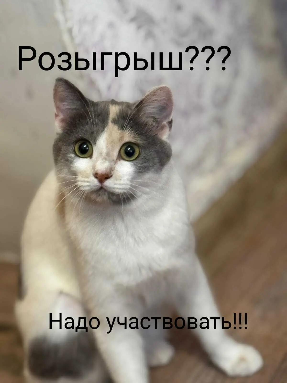ГБУ Иглинская райветстанция РБ объявляет