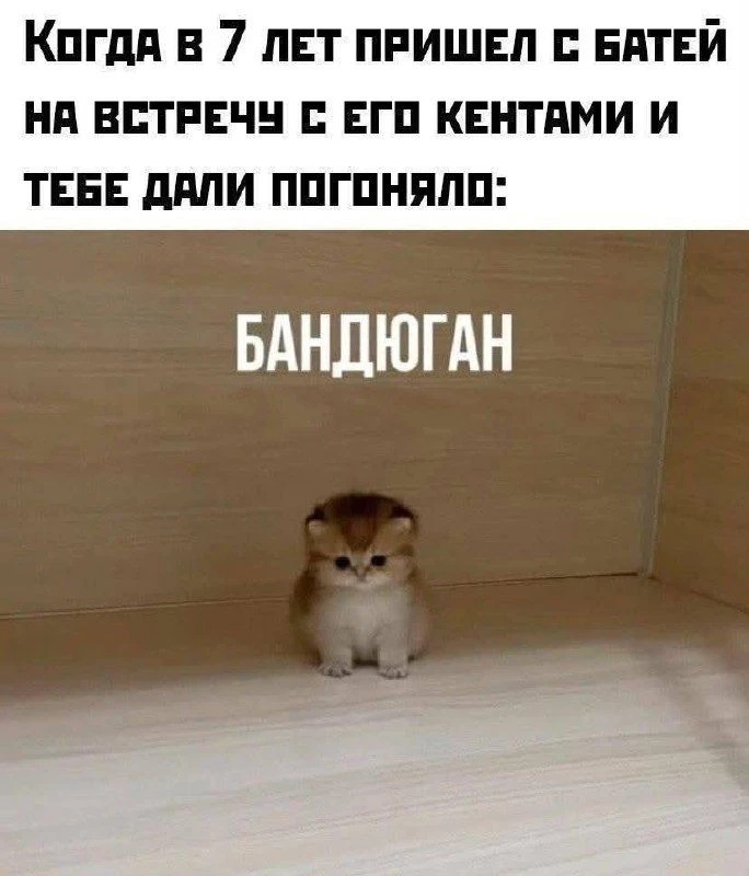 Ставь лайк! ❤️