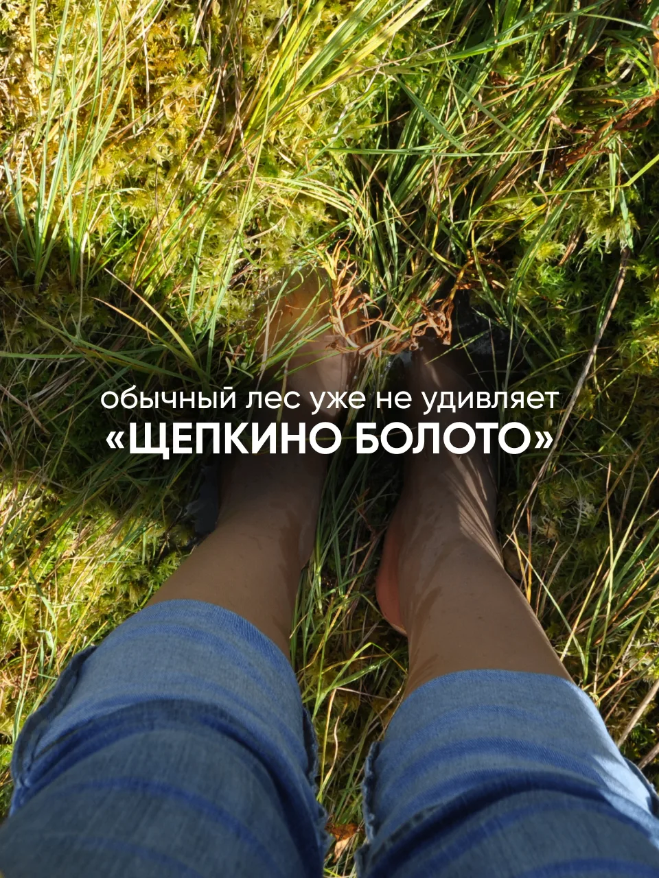 СЕНТЯБРЬ РАСПИСАНИЕ