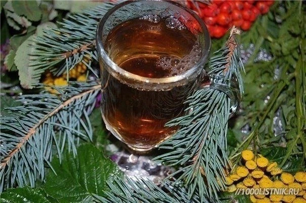 Простой рецепт снизит давление на много лет. 🌲🌲🌲