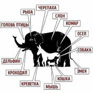 Вечерняя перекличка охотников! 

Готовы узнать, кто прятался лучше всех? 👁‍🗨

Победителями #зарядк