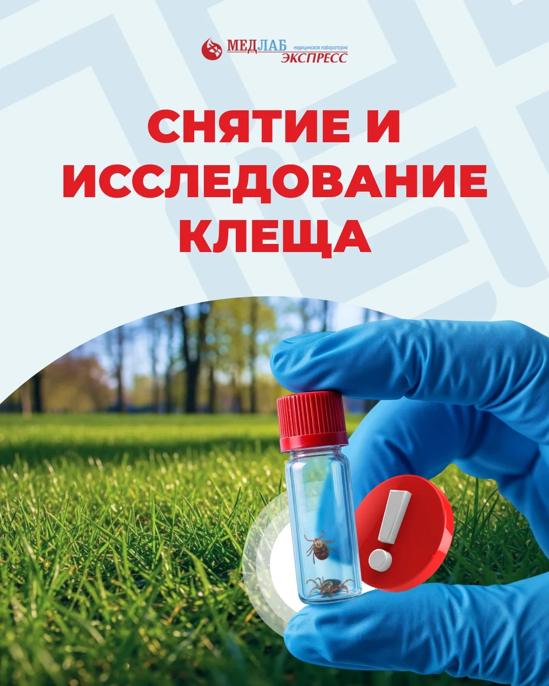 Впереди праздники и выходные — многие поедут за город, на дачи, в лес, к водоёмам или просто будут б