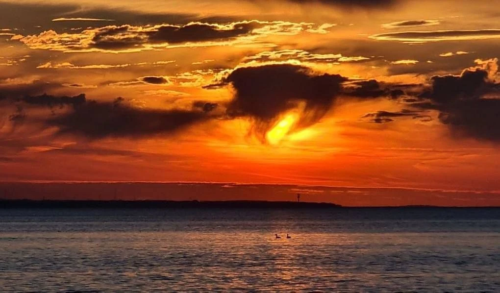 🌅💛 Закат на Куршской косе. Кажется, Балтика не повторяет ни один из них. Каждый вечер...