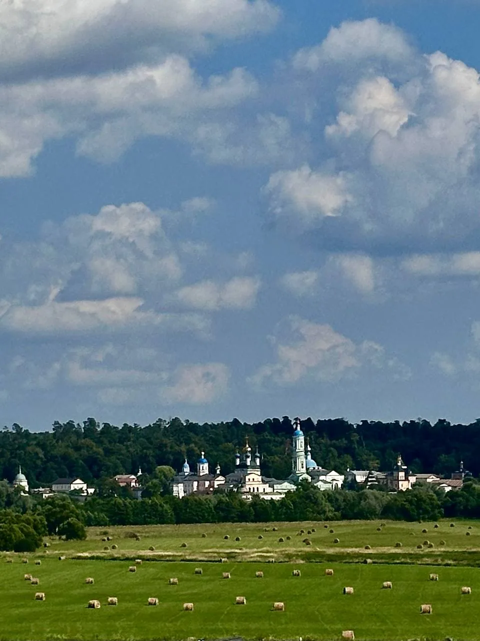 Завтра, даст Бог, я с детьми буду уже в Оптине.