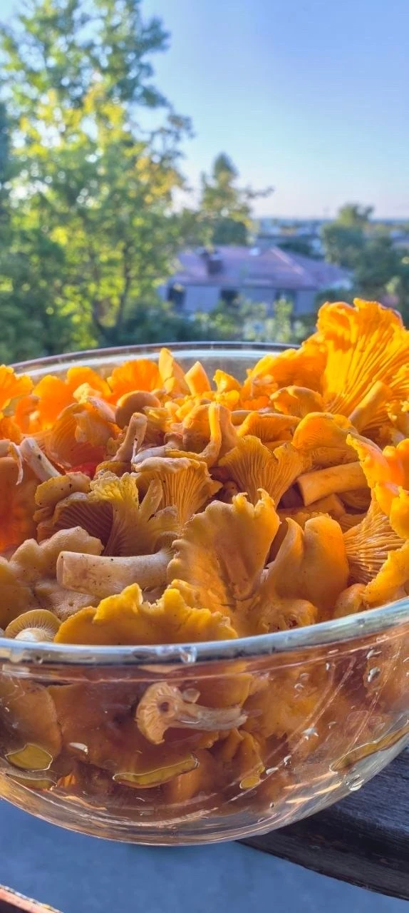 Лисички пошли, очень вкусно получилось с пастой по-итальянски. А вы как их готовите?😍

Ждем рецепт 