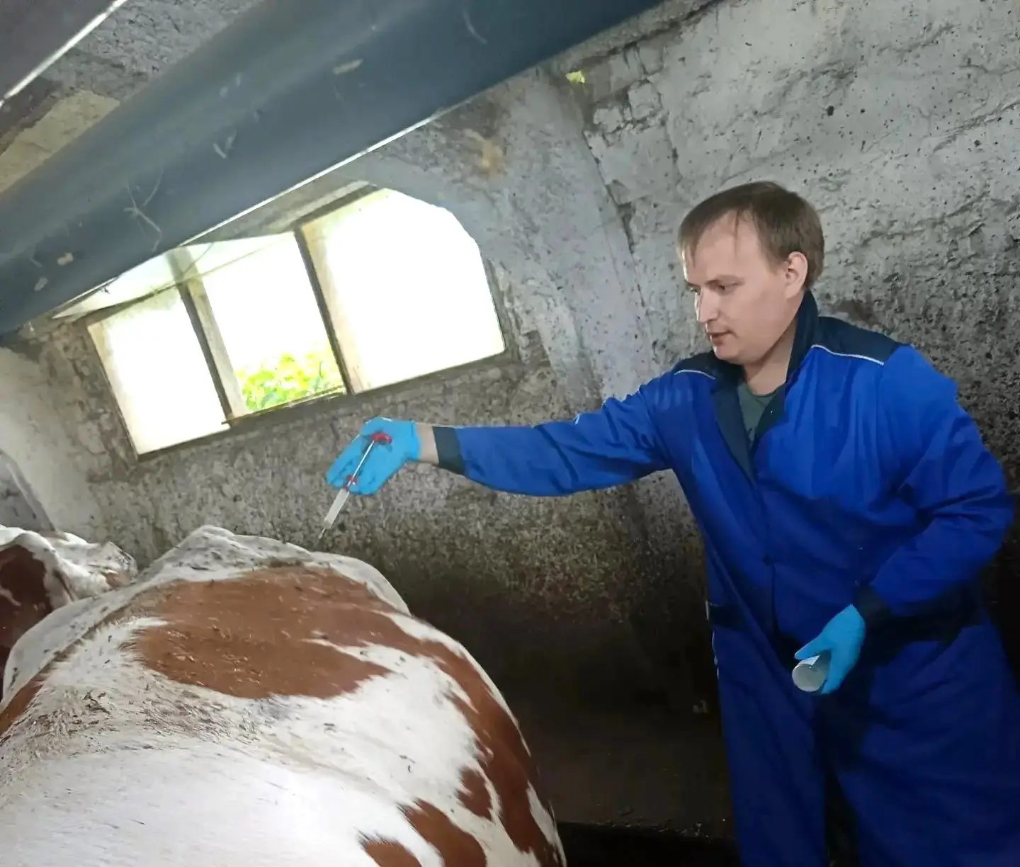 ✅Проведение профилактической вакцинации против лептоспироза

Ветеринарные специалисты Рузаевской рай