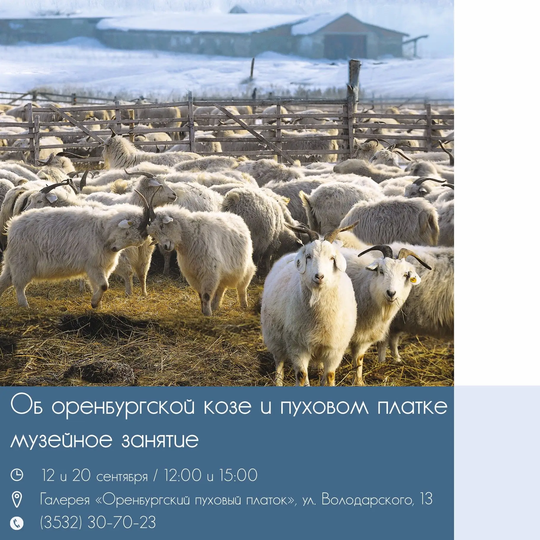 Галерея «Оренбургский пуховый платок» приглашает на музейные занятия «Об оренбургской к...