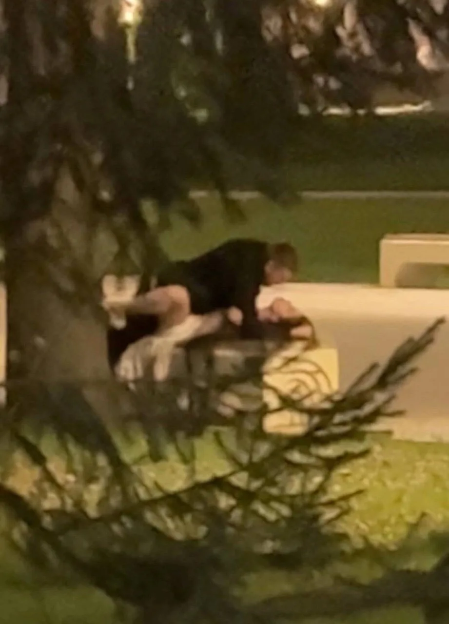 Лето ударило в голову, местная парочка занялась этим пpямо в одном из парков нашего гор...
