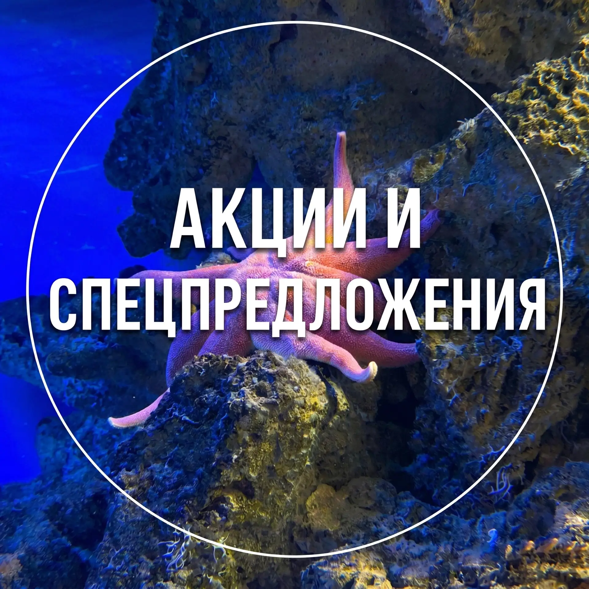 Мы знаем, как сделать осень яркой и запоминающейся! Сохраняйте акции и специальные пред...