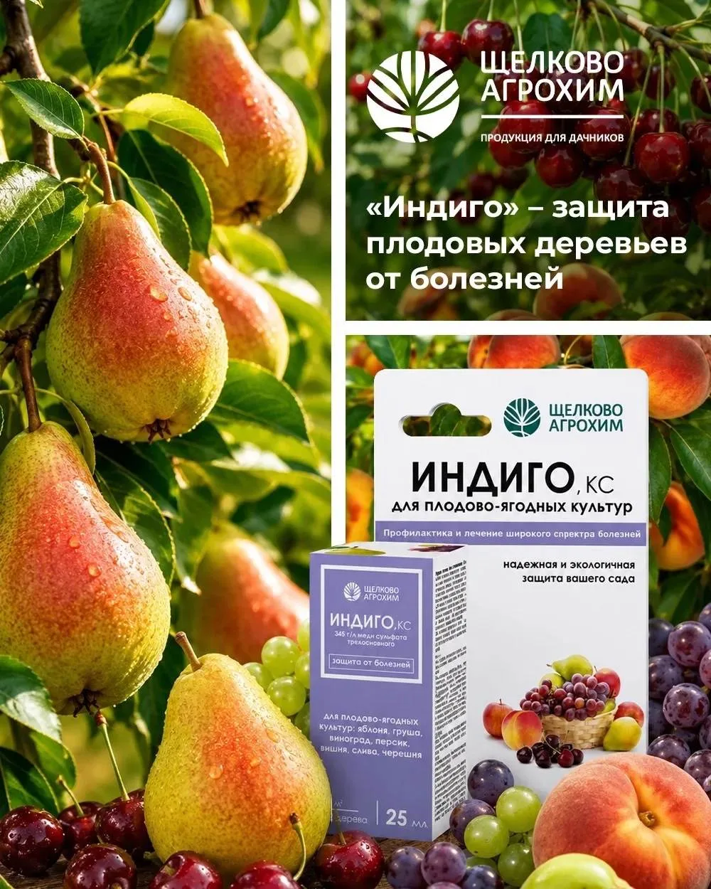 🍎 «Индиго, КС» – защита плодовых деревьев от болезней.