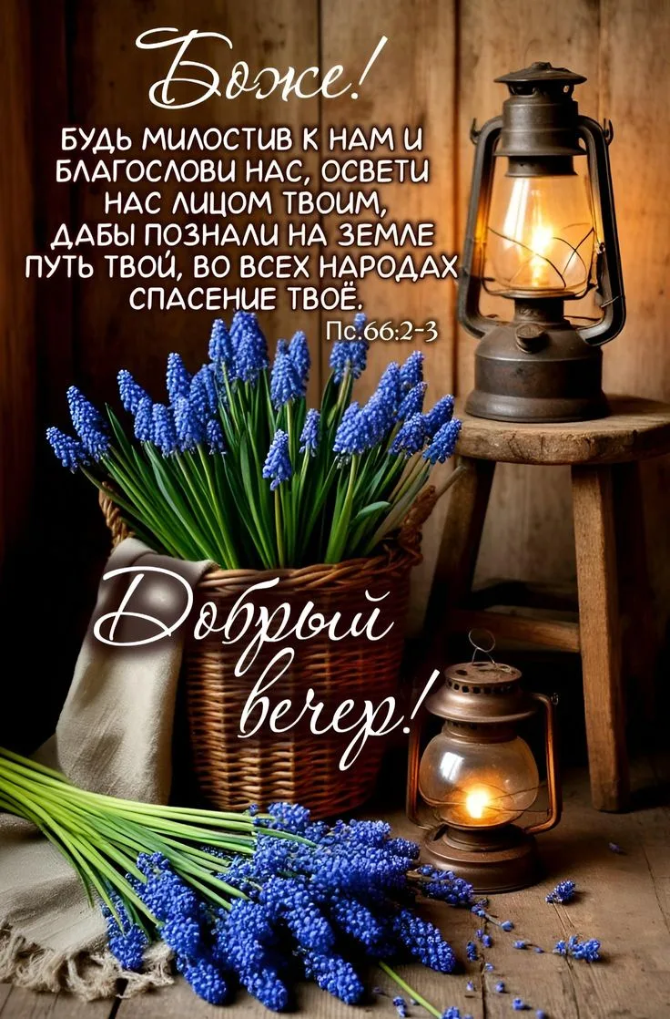 ❤️❤️❤️❤️Открытки❤️❤️❤️❤️